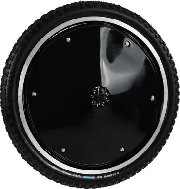 SPOKE PROTECTION 20 ZOLL WHEEL